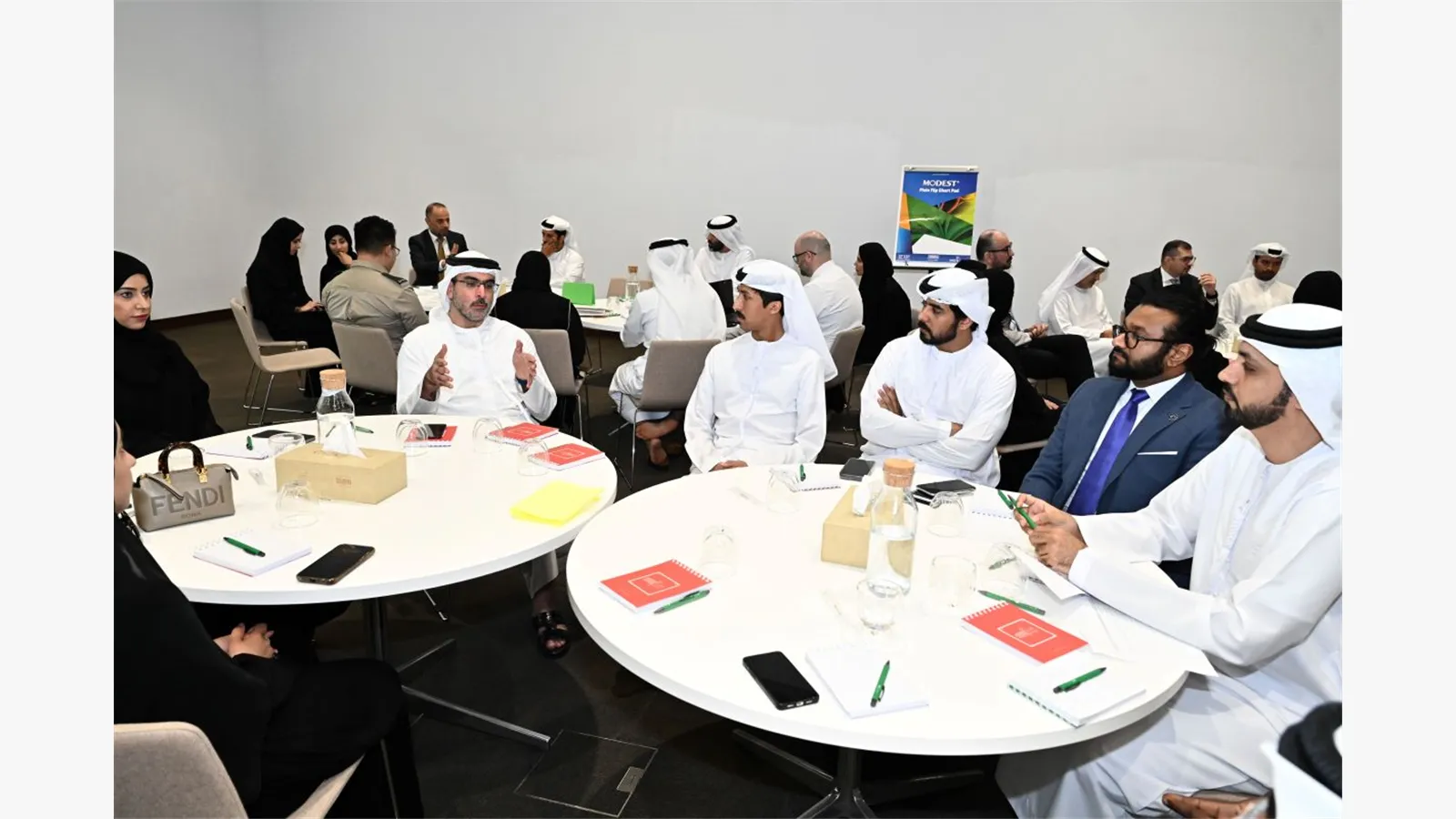 A Retreat session on the Mineral Wealth Strategy in the UAE 12