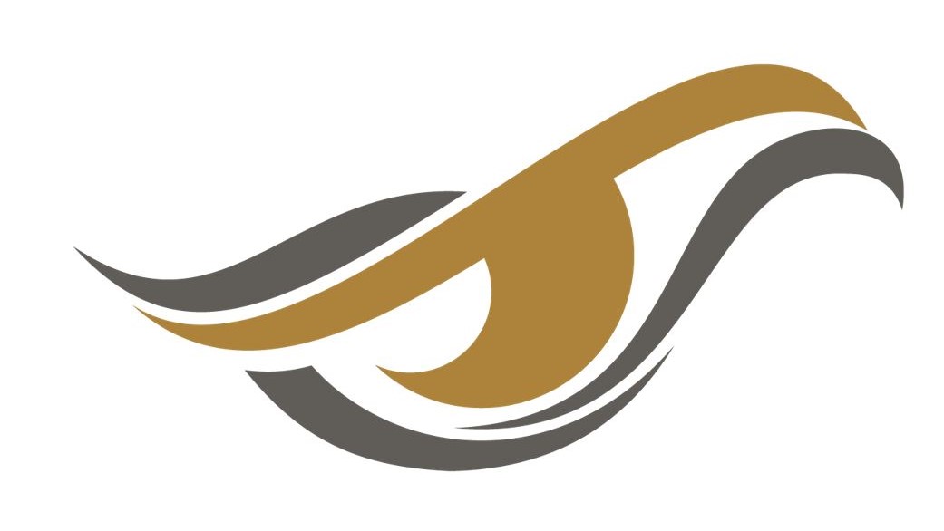 Eye of the Falcon Challenge Intiative