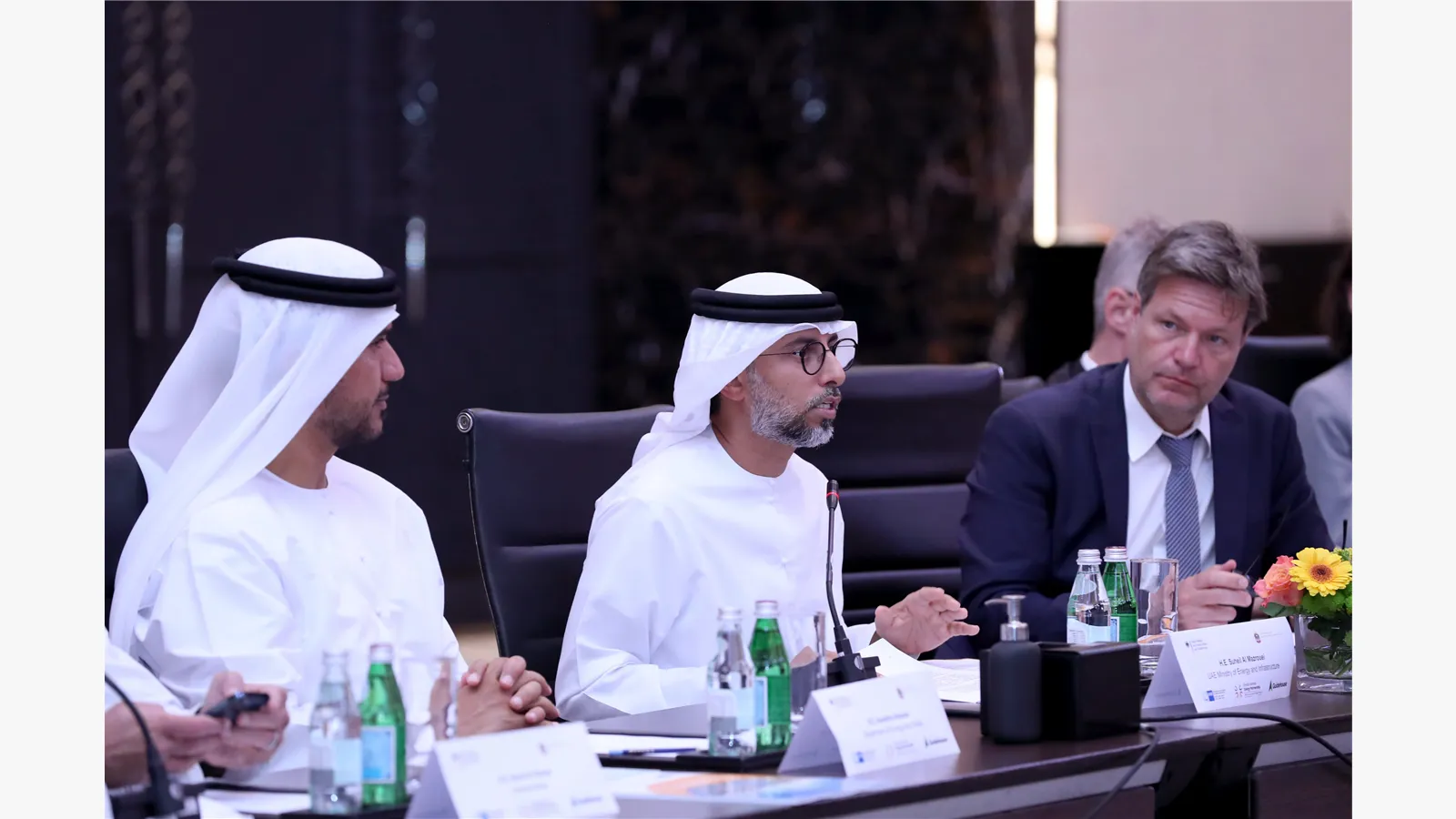 Emarati - German Energy Partnership 2