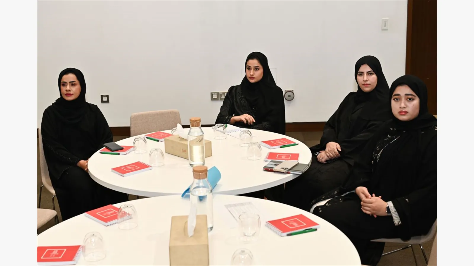 A Retreat session on the Mineral Wealth Strategy in the UAE 8